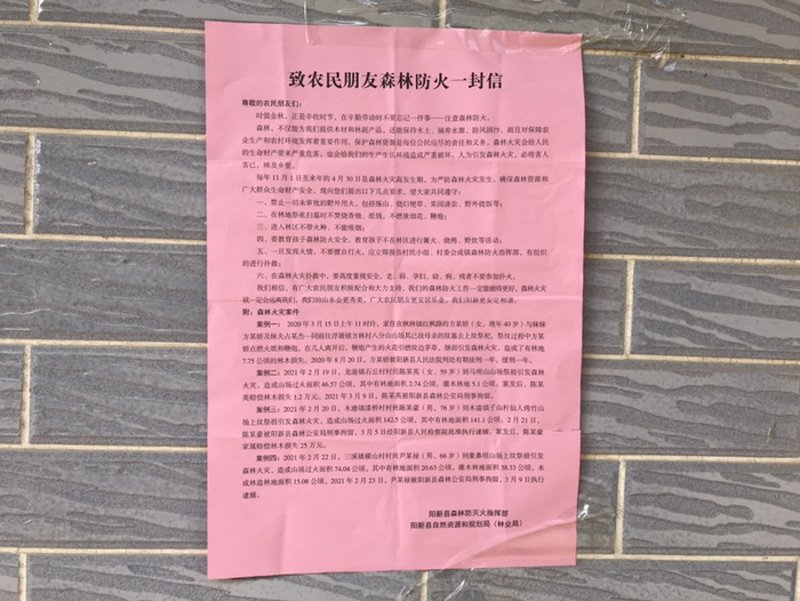 智讯公司：传播理念与技术的桥梁