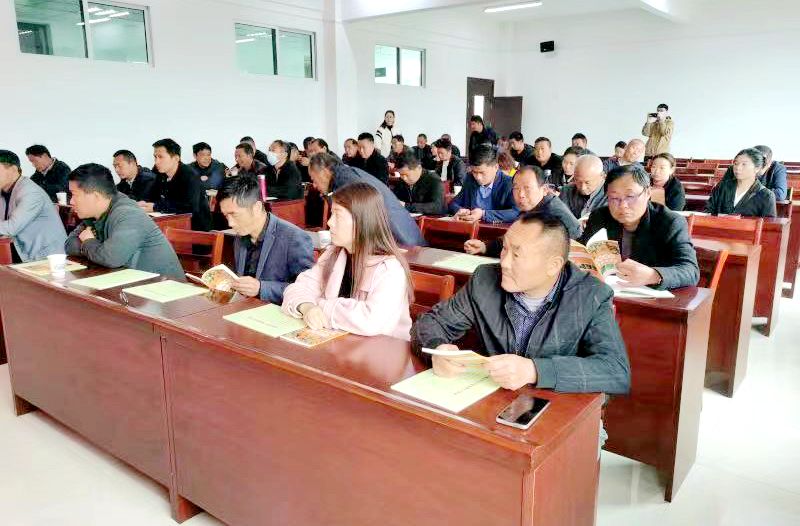 未来一周阳新县天气如何？让我们一起看看！